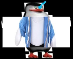 SANSER Meme Template