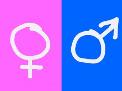 genders Meme Template