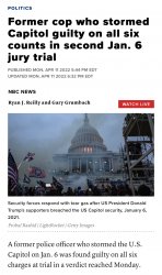 Jan 6 rioter conviction Meme Template