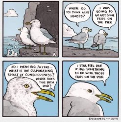 Existential seagulls Meme Template