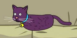 cat with no legs Meme Template