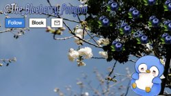 The_Blueberry_Penguin's Template Meme Template