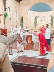 DonkeyChurch Meme Template