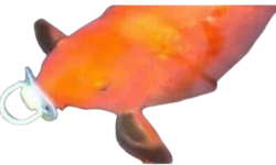 Fish Meme Template