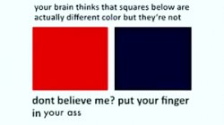 your brain thinks squares below are actually different color Meme Template