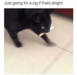 Just going for a cig if that's alright Meme Template