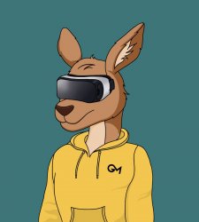 VR Kangaroo Meme Template