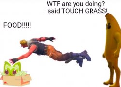 Touch grass Meme Template