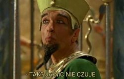 Ja nic nie czuje Meme Template
