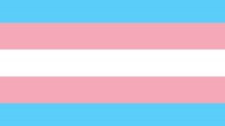 Trans Pride Flag Meme Template