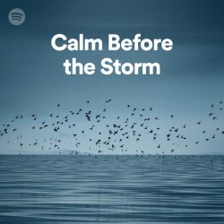 Calm before the Storm Meme Template