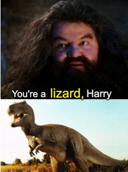 you're a lizard Harry Meme Template