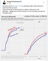 Voter fraud Meme Template