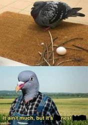 It ain’t much but it’s nest Meme Template