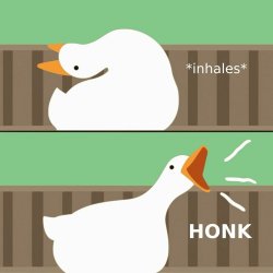 Goose honk Meme Template