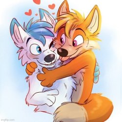 Furry hug (by SussyCinderace_hehe) Meme Template