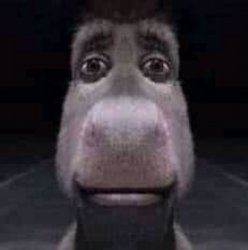 Donkey staring Meme Template