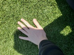 Touching grass Meme Template