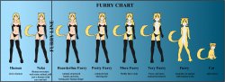 Furry Chart Meme Template