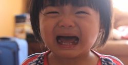 Crying Japanese Girl Meme Template