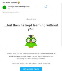 Duolingo's Watching... Meme Template