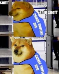 Cringe sniffing dog Meme Template