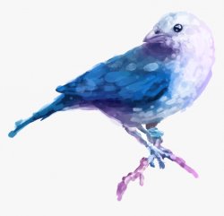 Beautiful watercolor bird Meme Template