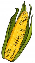 Corn con Meme Template