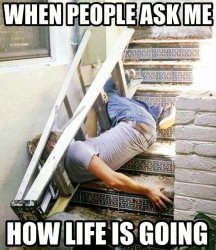This is how my life is going Meme Template