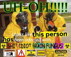 Shit idiot brain fungus Meme Template