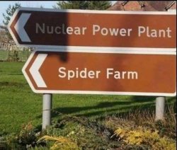 nuclear spider farm Meme Template