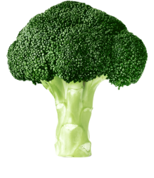 Broccoli Meme Template