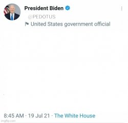 Joe Biden twitter tweet template Meme Template