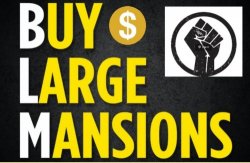 Blm buy large mansions logo Meme Template