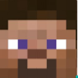 Steve face Meme Template