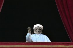 Pope cat Meme Template