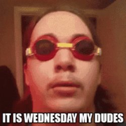 It Is Wednesday My Dudes Meme Template