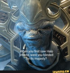 when you first saw halo where you blinded by its majesty ? Meme Template