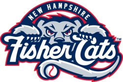 New Hampshire Fisher Cats Meme Template