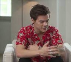 Harry Styles Meme Template