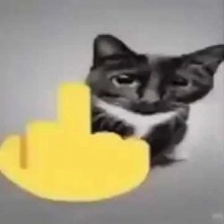 Flip Off Cat Meme Template