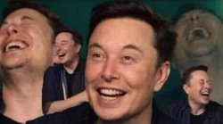 Elon laugh Meme Template