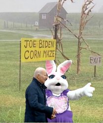 Lost Biden Meme Template