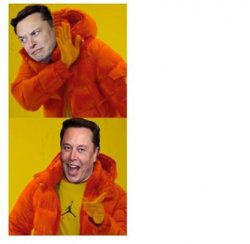 Elon Bling Drake Best Meme Template
