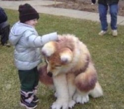 Boy Petting Furry Meme Template