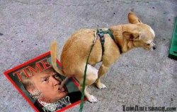 Dog Poops in Trump's Mouth, meets other poop coming out Meme Template