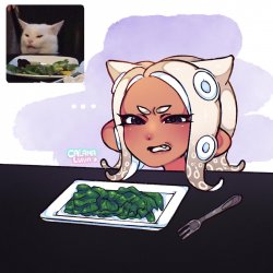 sour cat octoling by calama-luna Meme Template