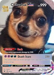 Chihuahua V-MAX Meme Template