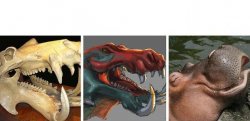 Hippos Meme Template