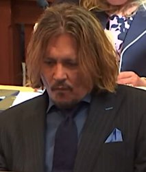 johnny depp trial smirk Meme Template